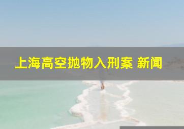 上海高空抛物入刑案 新闻